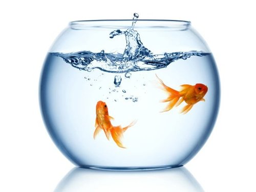 2021 - Online-Tag der EMP 